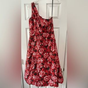 Bethany Dress Size 8 Women Fit & Flare One Shoulder Floral